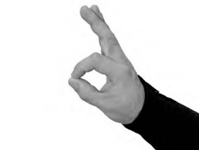 Hand Signal for OK