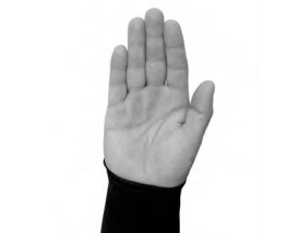 Hand Signal for Stop