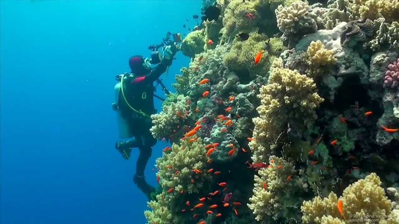 Looking for a New Dive Location?