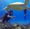Scuba Diving with Turtles
