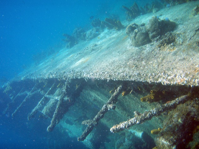 Aruba Beneath the Surface