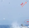 Orca Flips Seal