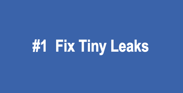 Fix Tiny Leaks