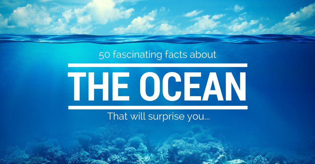 amazing-facts-about-the-ocean-1050x5491